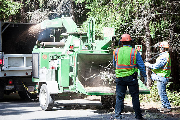 Best Lawn Watering Services  in Marillo, CA